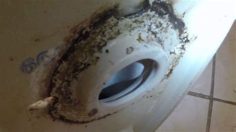 upstairs toilet leaking|Reasons And Solutions For Upstairs Toilet。